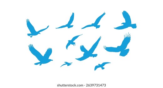 Collection of vector silhouettes of eagles in flying, perched, and stalking positions. 
