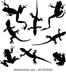 Collection of vector silhouettes of frogs and lizards in different poses isolated on a white background