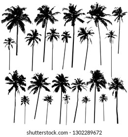 Collection of vector silhouettes of palm trees of different shapes isolated on white background for your design