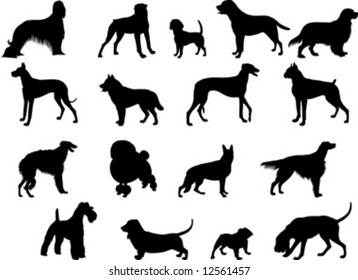 Collection of vector silhouettes of various dog breeds