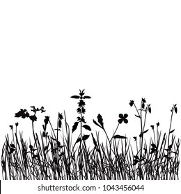 Collection of vector silhouettes of wild flowers, bells, dandelions, blossom, black color, isolated on white background