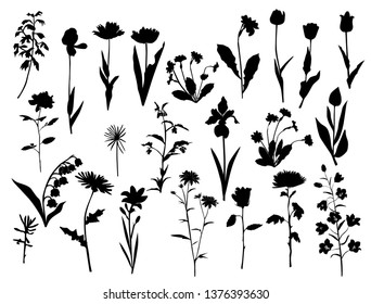 Collection of vector silhouettes of wild flowers and grass, daisy, chrysanthemum,  chamomile, rose, lily, carnation, black color, isolated on white background