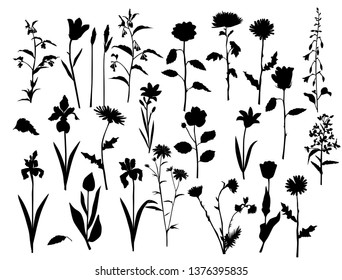 Collection of vector silhouettes of wild flowers and grass, daisy, chrysanthemum,  chamomile, rose, lily, carnation, black color, isolated on white background