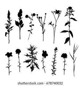 Collection of vector silhouettes of wild flowers, black color, isolated on white background