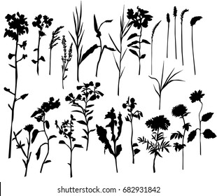 Collection of vector silhouettes of wild flowers, black color, isolated on white background