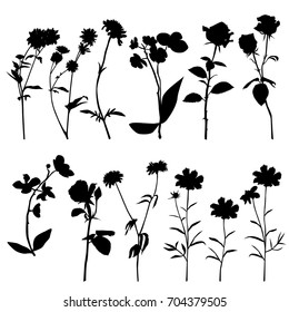 Collection of vector silhouettes of wild flowers, Daisy, orchid, chrysanthemum, dandelion, cornflower, carnation, rose,  black color, isolated on white background