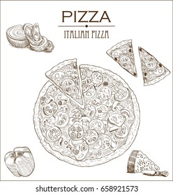Collection of vector sketch pizza with bell pepper, tomato, onion and olives.