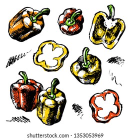 Collection of vector sketches of bell pepper. Hand-drawn, sketch. Composition with Bulgarian pepper in color.