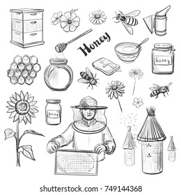 A collection of vector sketches of honey and beekeeping. Hand drawings on white background 