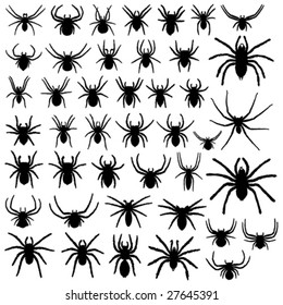collection of vector spiders