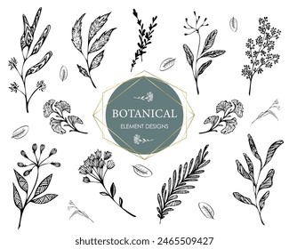 Collection of vector stylized floral elements. Set of decorative twigs for design. Elements for floral logos. Floral decor for wedding invitations. Flower clipart.