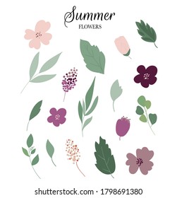 Colección de flores vectoriales de verano, ramas verdes y hojas de estilo vintage.