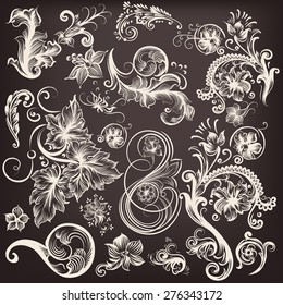 Collection of vector swirl  flourishes