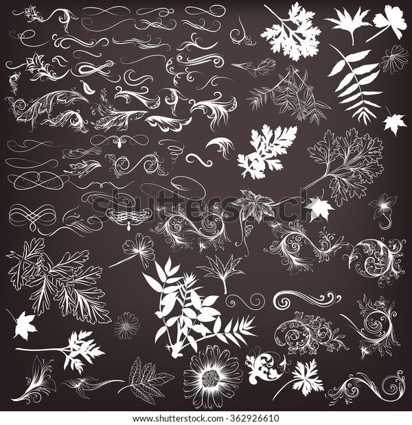 Collection of vector swirls elements leafs \
flourishes in vintage\
style