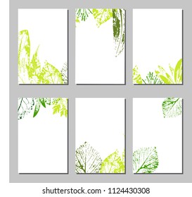 Collection of vector template label, visit cards, square greeting cards and banners with home plants, wild flowers and herbs.Business set of design templates Layout, mockup design for cosmetics.