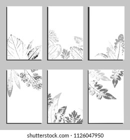 Collection of vector template label, visit cards, square greeting cards and banners with home plants, wild flowers and herbs.