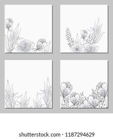 Collection of vector template label, visit cards, square greeting cards and banners with home plants, wild flowers and herbs.Business set of design templates Layout, mockup design for cosmetics.