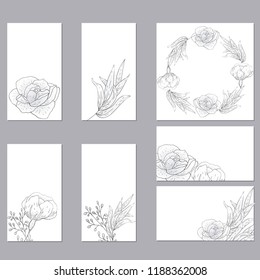 Collection of vector template label, visit cards, square greeting cards and banners with home plants, wild flowers and herbs.Business set of design templates Layout, mockup design for cosmetics.