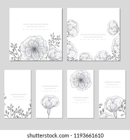 Collection of vector template label, visit cards, square greeting cards and banners with home plants, wild flowers and herbs.Business set of design templates Layout, mockup design for cosmetics.
