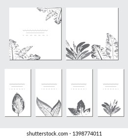 Collection of vector template label, visit cards, square greeting cards and banners with home plants, wild flowers and herbs.Business set of design templates Layout, mockup design for cosmetics.