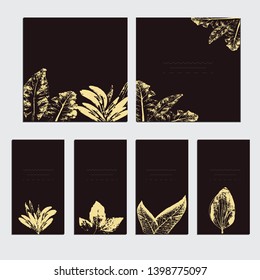 Collection of vector template label, visit cards, square greeting cards and banners with home plants, wild flowers and herbs.Business set of design templates Layout, mockup design for cosmetics.