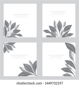 Collection of vector template label, visit cards, square greeting cards and banners with home plants, wild flowers and herbs.Business set of design templates Layout, mockup design for cosmetics.