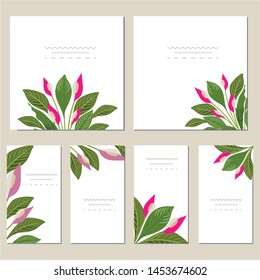 Collection of vector template label, visit cards, square greeting cards and banners with home plants, wild flowers and herbs.Business set of design templates Layout, mockup design for cosmetics.