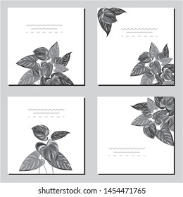 Collection of vector template label, visit cards, square greeting cards and banners with home plants, wild flowers and herbs.Business set of design templates Layout, mockup design for cosmetics.