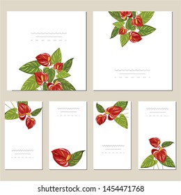 Collection of vector template label, visit cards, square greeting cards and banners with home plants, wild flowers and herbs.Business set of design templates Layout, mockup design for cosmetics.