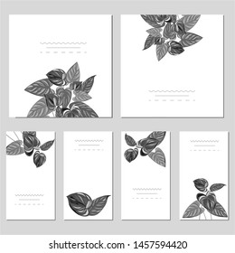 Collection of vector template label, visit cards, square greeting cards and banners with home plants, wild flowers and herbs.Business set of design templates Layout, mockup design for cosmetics.