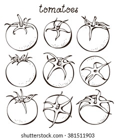 Collection of vector tomatoes, food vegetable hand drawn set isolated on white background