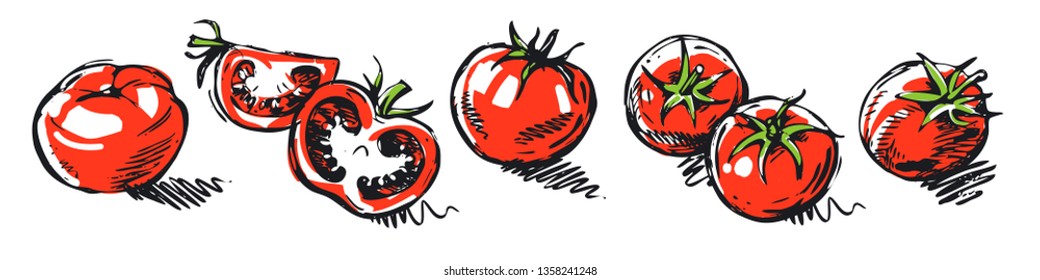 Collection of vector tomatoes. Illustrations with hand-drawn tomatoes. Sketches in color.