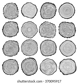 Collection of vector tree rings background and saw cut tree trunk. Conceptual graphics.