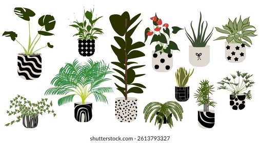 collection of vector trees indoor. snake plant, peace lily, chinese evergreen, xanadu, monstera, araceae, boston fern, lady palm, butterfly palm,  english ivy, aloe vera, rubber plant.