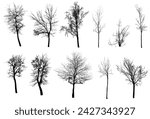 Collection of vector trees silhouettes.