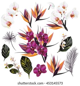 A collection of vector tropical plants orchids palm leafs and other flowers in realistic style