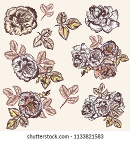 Collection of vector vintage had drawn roses