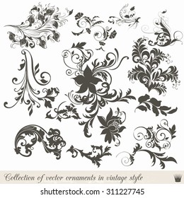 Collection of vector vintage ornaments