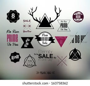 Collection of Vector Vintage Retro Label