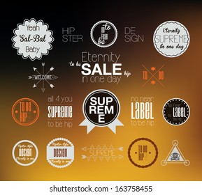 Collection of Vector Vintage Retro Label