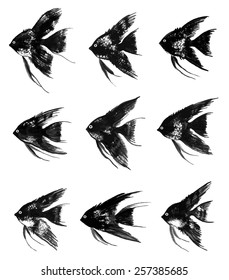 Collection of vector watercolor black angelfish