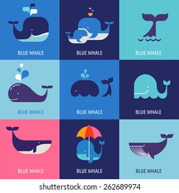 Collection of vector whale icons and illustrations