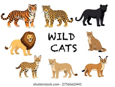 Collection of vector wild cats 

