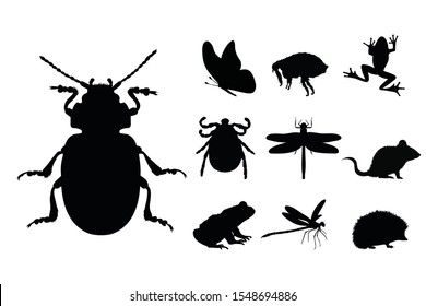 Vectores de recogida de insectos y animales pequeños sobre fondo blanco. Símbolo de escarabajo, mariposa, pulga, rana, libélula, ratón, erizo, garrapata, bosque, prado, logo, signo.