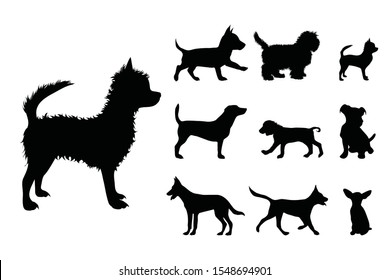 Collection vectors of small dogs on white background. Symbol of animal, pet, puppy, logo, sign.