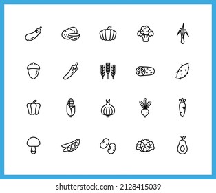 Colección de iconos lineales vegetales. Juego de pimienta, zanahoria, símbolos de cebolla dibujados con líneas delgadas de contorno. Ilustración vectorial.