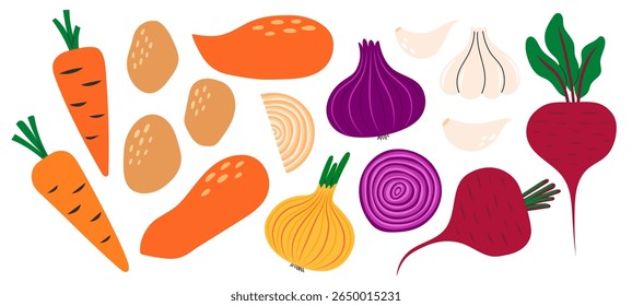 Collection of vegetables: carrot, potato, sweet potato, beetroot, onion, garlic. Healthy vegetarian food. Hand drawn flat vector illustration isolated on white background