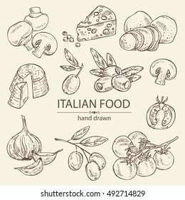 Coleção de legumes, queijo e champignon. desenhado à mão