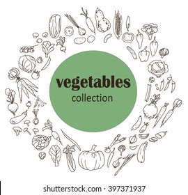 Collection of the vegetables doodles, different objects: food, carrot, pepper, cabbage, pumpkin, and other harvest.