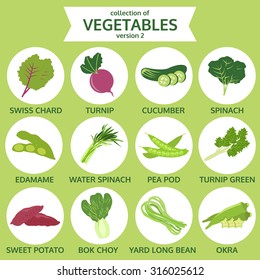 collection of vegetables, food vector illustration, icon set two